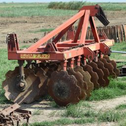 Mystery Disease in TX, Animal Rights, & UK Trade