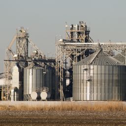 Exploring Agricultural Alliances: Insights from Across the Pond