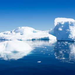 2024 Beginnings: Discussing Antarctic Ice, Rural Electrification History, and UK Farming Concerns
