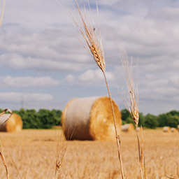 Uniting Farmers & Carbon Zero's Risks