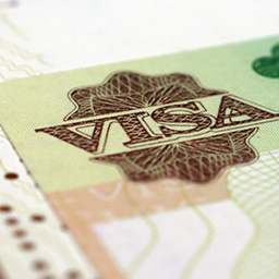 Visa Queries, Feinstein's Legalities, & Missing Strawberries
