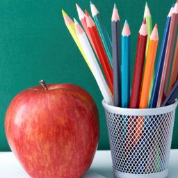 Taking Back Control: Tennessee's Quest for Educational Autonomy