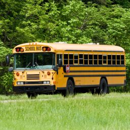 Bus Driver Caught Drinking On the Job, but Says It's a Misunderstanding