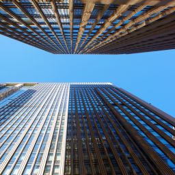 Piloted Plots, Perpetual Wars, and Porous Borders - America's Covert Descent Post 9/11