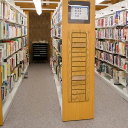 The Department of Education To Create a Position To Fight Book Bans