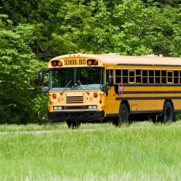A Close Look at the Tennessee Bus Incident