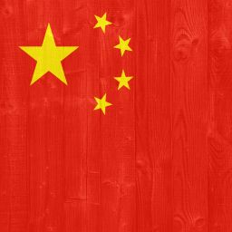 Coming Up Jan. 15 on Ladies of Another View: Attorney for MI Citizens Talks Blocking Chinese