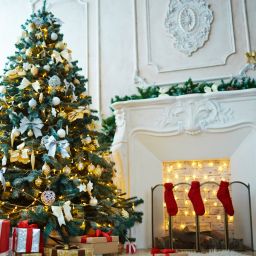 Exploring Prophecies with Flyover Conservatives: Yom Kippur and Christmas Significance