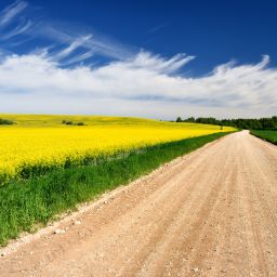Navigating Challenges:  Spring Planting Delays in the UK and Livestock Management