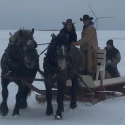 ND Cowboys On The Wagon and In the Livestock Ring