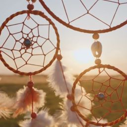 Celebrating the Snow Moon, Military Heroes, World Cup Joy, and the Rich Tapestry of American Culture