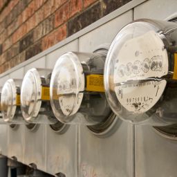 Electricity Woes in England, Global Economy, Livestock Genetics, and Farming as a Carbon Solution