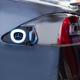 Swiss EV Restrictions, Food Waste Solutions, & the Quest for Truth in Energy Policies