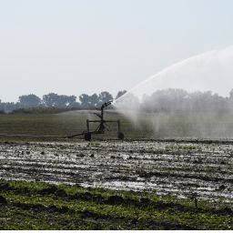 Glyphosate Covered Crops Kill Sperm, Causes Fatigue, Rashes, and Hair Loss