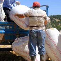 Exploring Transportation's Crucial Role in America's Food Supply Chain