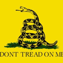 Misinterpretation Alert: Gadsden Flag Controversy