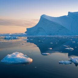 A Discourse on Climate Emergency, GOP Debates, and Divisive Foods 