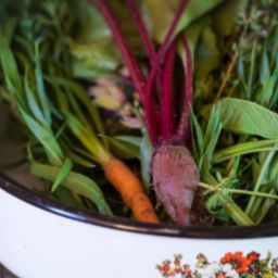 From Mayoral Pledges to Diminishing Agricultural Skills on 'Across The Pond'