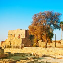 Trent Loos and Hank Vogler Delve into Thanksgiving History, Linking to Israel-Hamas Conflict