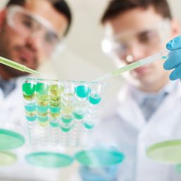 Karen Kingsbury New Movie & Alabama Supreme Court Rules IVF Embryos are Persons