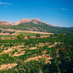 Arizona Ranchers Fight for Land Rights