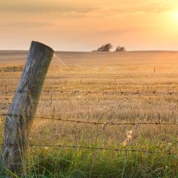 Up Next on Ladies of Another View:  Landowner Rights Discussed at Convention