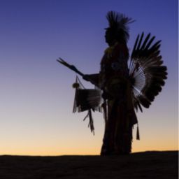 Comparing Treatment of American Indians and Consumers