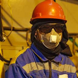 Nuclear Bunkers, Wolves, China's Hybrid Crops, English Meat Pies, Lamb Prices, Helmet Laws