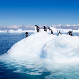Duke Dives Into DeSantis vs. Biden debate on Climate Extremists and Their Views