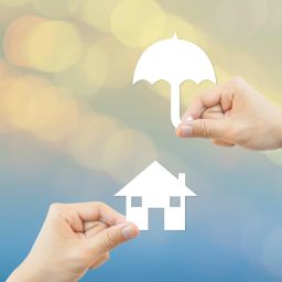 Trent Loos and Karen Budd-Falen Discuss Govt. Intrusion and Erosion of Property Rights