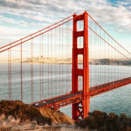 San Francisco's Homeless Issue and Misuse of Gender Quotas