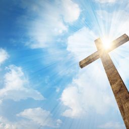Finding Joy Amid Chaos: Life's Deeper Meaning