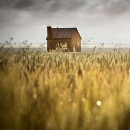 Examining the Forces Menacing America's Farms and Ranches