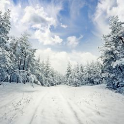 UK Rain & US Snow, Green Incentives, EVs & More