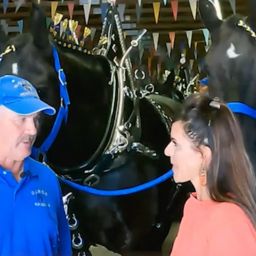 Dakota's Legacy: Horses, History and High Achievers
