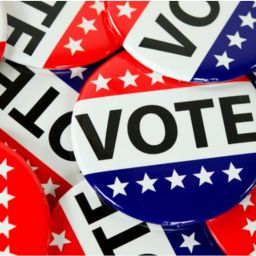 Empowering Democracy Through Voting