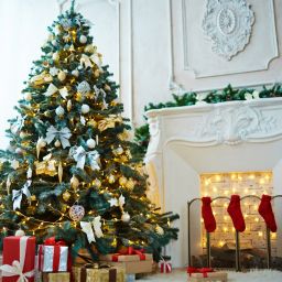 J.C. Cole's Journey: Reviving Latvian Christmas Traditions with Trent Loos